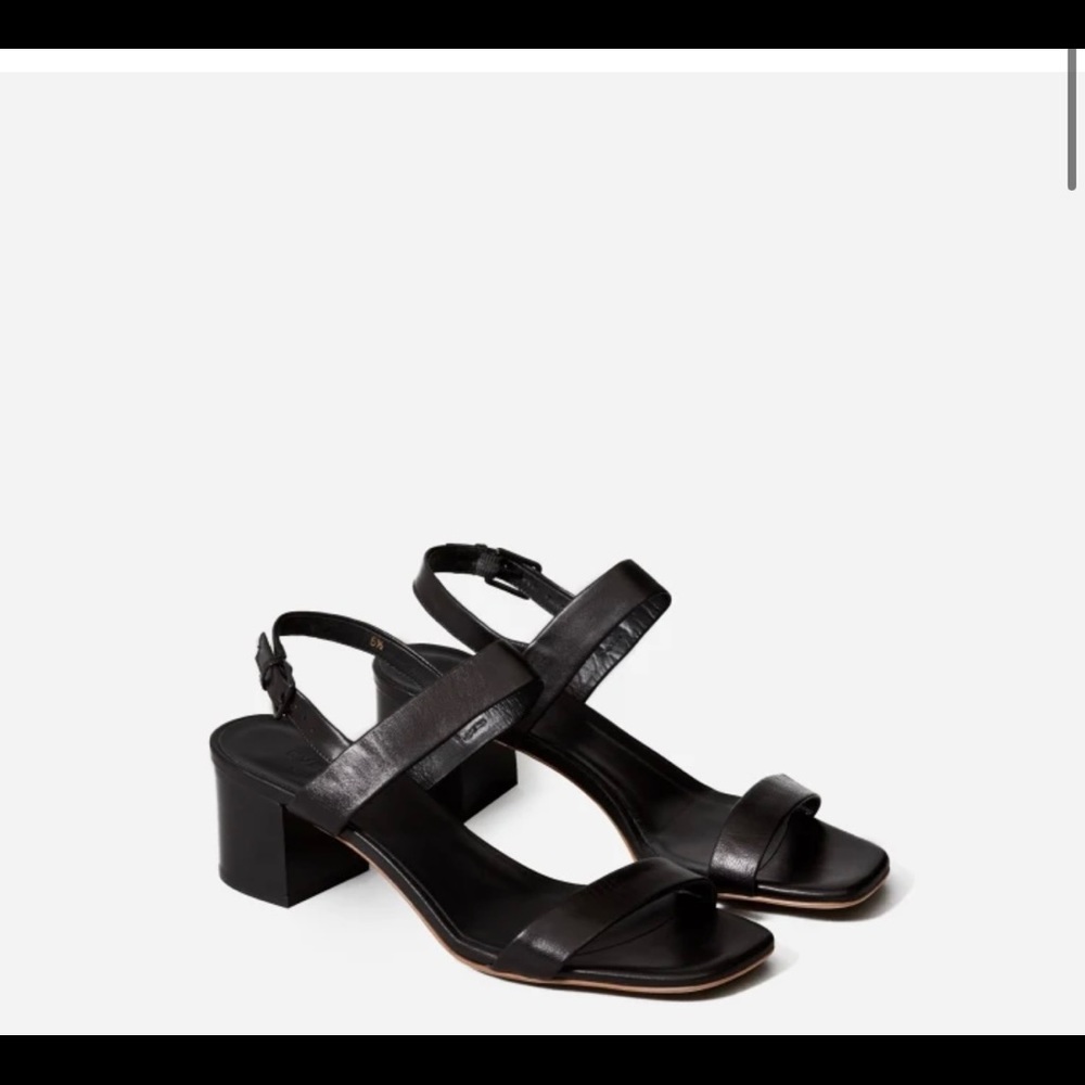 Everlane The Double-Strap Block Heel Sandal